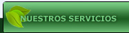 nuestros servicios